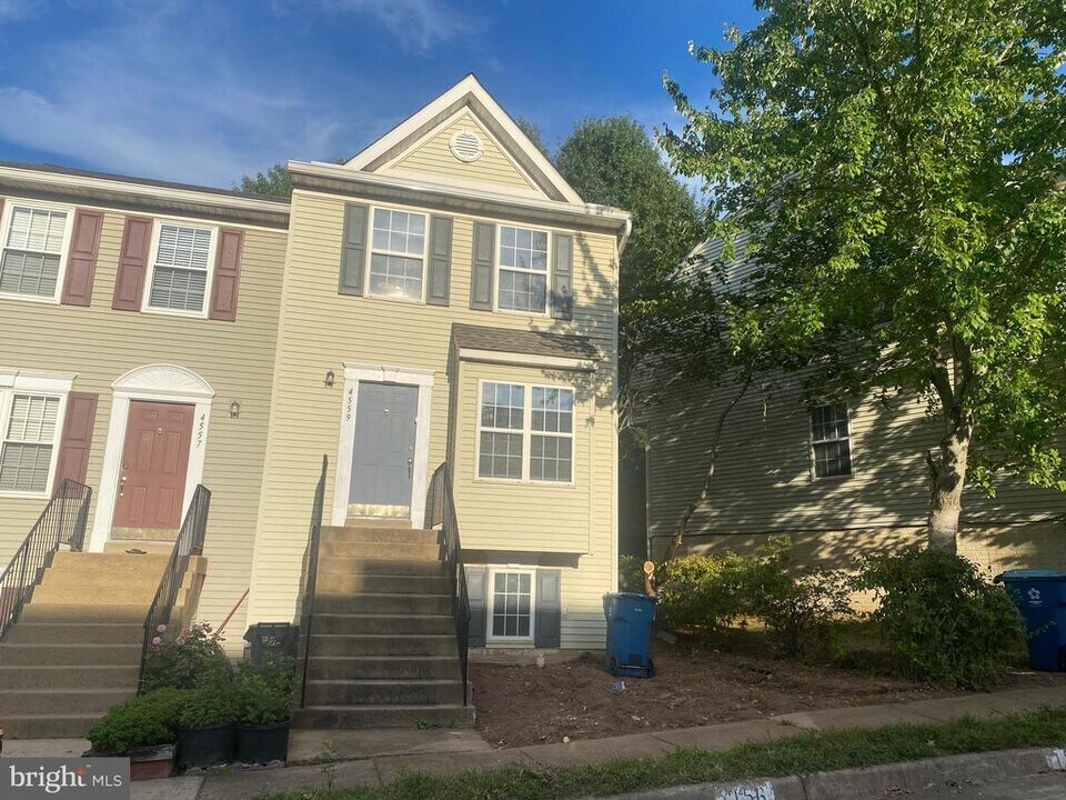 4559 Penny Tree Pl in Chantilly, VA - Building Photo