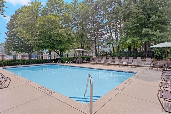 Timber Ridge Apartments