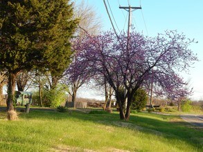 259 Golden Crest Dr-Unit -259 - RO in House Springs, MO - Building Photo - Building Photo