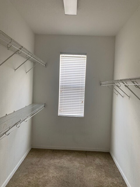 4415 Cleary Way in Orlando, FL - Building Photo - Building Photo