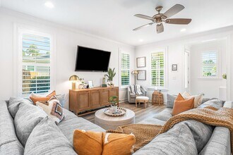 229 Windrow Way in Inlet Beach, FL - Building Photo - Building Photo