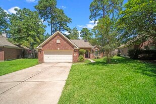 26 Maize Meadow Pl in Spring, TX - Building Photo