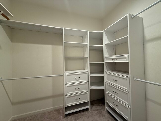 property at 3654 el Dala Ln