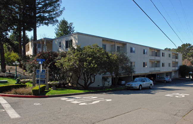 Tamal Vista Apartments in Mill Valley, CA - Building Photo - Building Photo