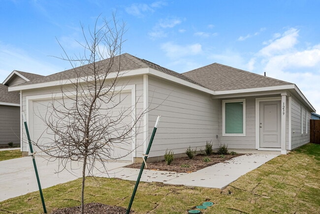 property at 1239 Maple St