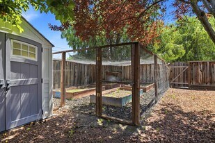 21060 Tulita Ct in Cupertino, CA - Building Photo