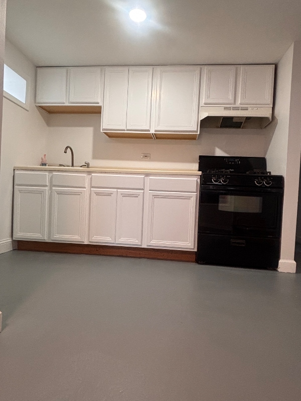 1101 W 16th St in Chicago, IL - Building Photo - Building Photo