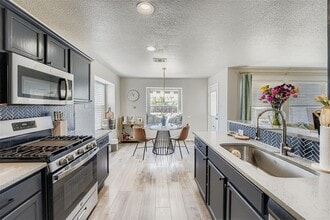 1505 Tea Leaf Dr in Pflugerville, TX - Building Photo - Building Photo