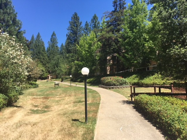 Sunrise Garden Apartments in Placerville, CA - Building Photo