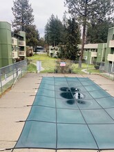 Forest Park Court in Spokane, WA - Building Photo - Building Photo