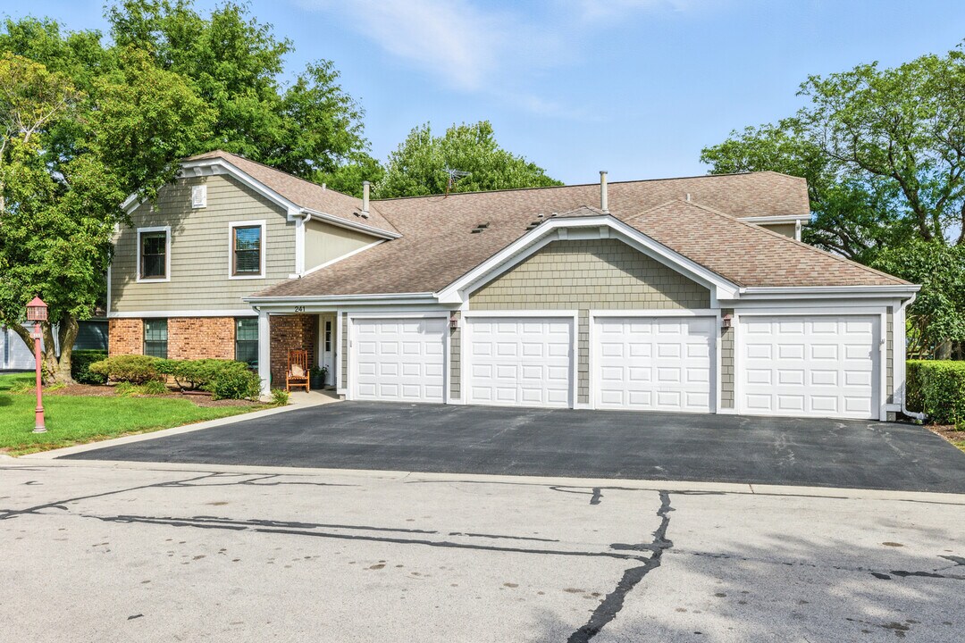 241 Deerpath Ct in Schaumburg, IL - Building Photo