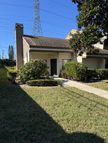 2815 Countrybrook Dr in Palm Harbor, FL - Building Photo