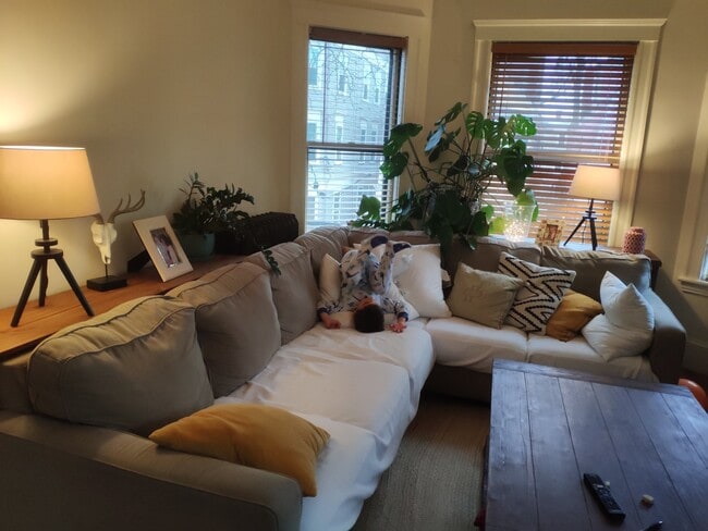 74 Highland Ave, Unit #2 in Cambridge, MA - Building Photo - Building Photo