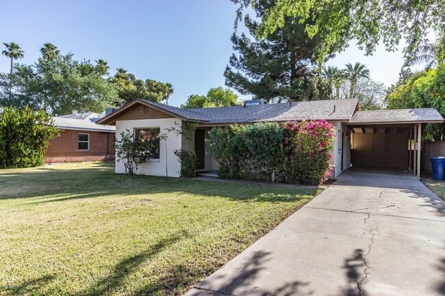 1719 S El Camino Dr in Tempe, AZ - Building Photo - Building Photo