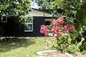 3002 Brinwood Ave in Austin, TX - Building Photo - Building Photo