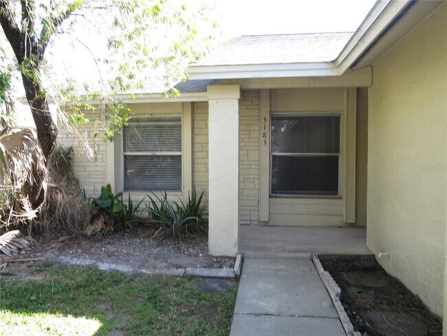 3183 Owassa Ct in Kissimmee, FL - Building Photo - Building Photo