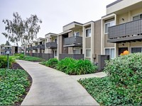 Turnleaf Apartments in San Jose, CA - Building Photo - Building Photo