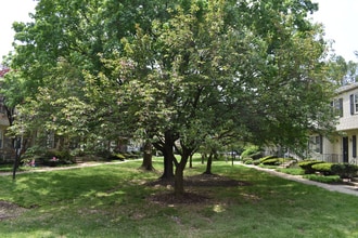 7001 Roslyn Ave in Derwood, MD - Building Photo - Building Photo