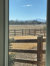 5383 Homeward Dr in Timnath, CO - Building Photo - Building Photo