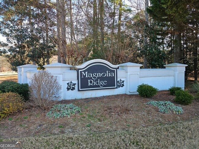 185 Rock Hill Dr in Fayetteville, GA - Building Photo - Building Photo