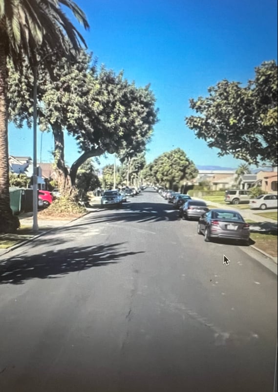 2437 Cochran Ave in Los Angeles, CA - Building Photo - Building Photo