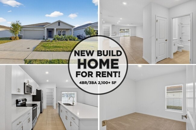 3917 Southern Vista Loop