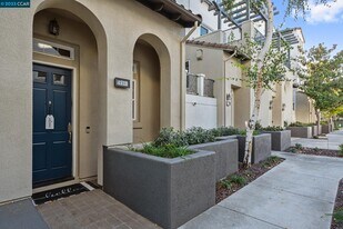 4323 Clarinbridge Cir in Dublin, CA - Building Photo