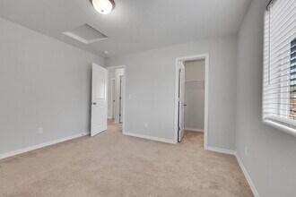 4033 Silver Star Grove in Colorado Springs, CO - Building Photo - Building Photo