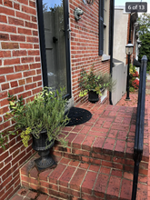 901 Lovering Ave in Wilmington, DE - Building Photo - Building Photo