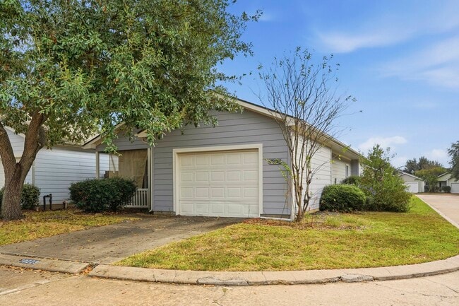 10223 Dandyline Way in Tomball, TX - Building Photo - Building Photo