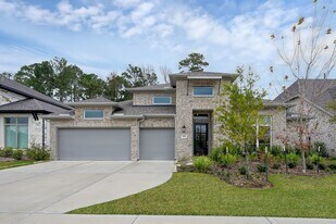 8431 Willow Whisper Ln in Magnolia, TX - Building Photo