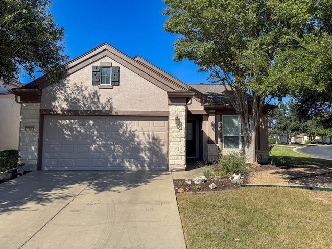 100 Sunbird Ct in Georgetown, TX - Building Photo - Building Photo