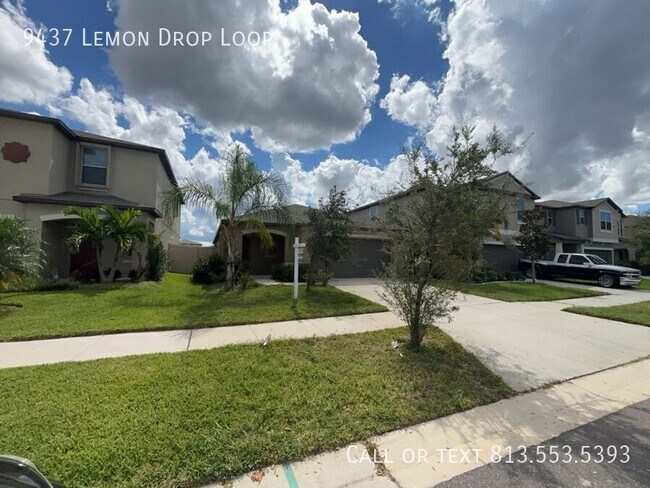 9437 Lemon Drop Lp in Sun City Center, FL - Building Photo - Building Photo