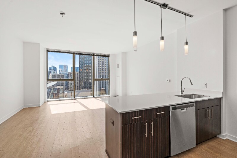 207 N Garland Ct in Chicago, IL - Building Photo