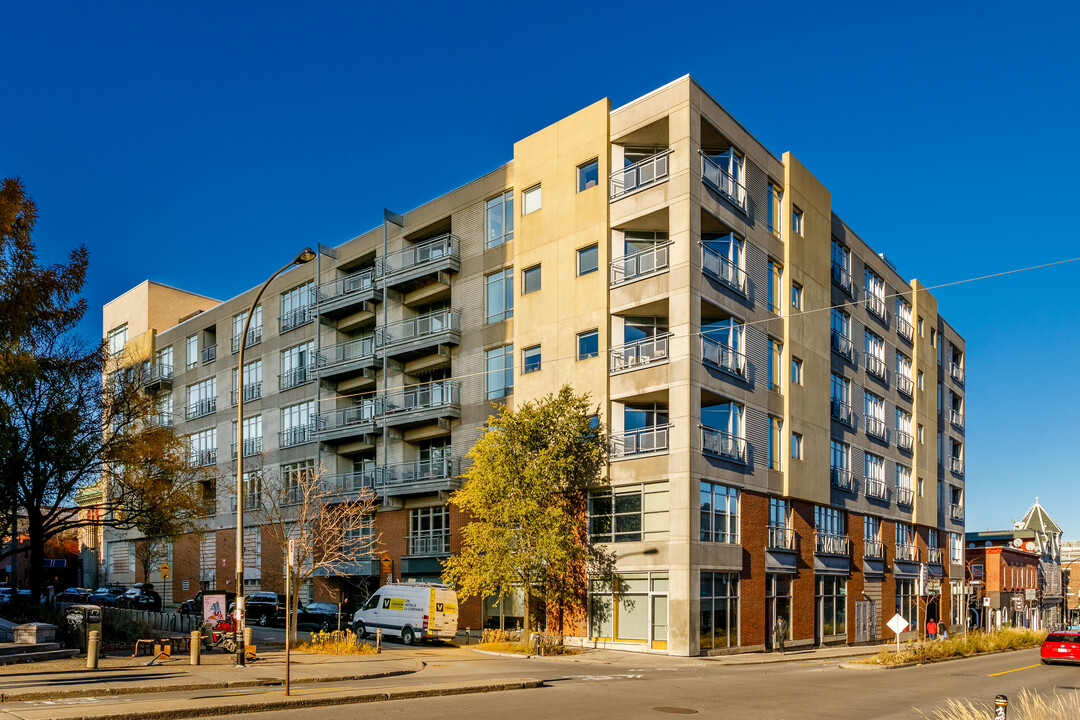 83 Rachel Rue E in Montréal, QC - Building Photo