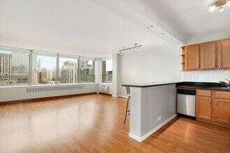 1360 N Sandburg Terrace in Chicago, IL - Building Photo - Building Photo