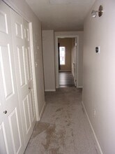 8437 S Thunder Ridge Way in Highlands Ranch, CO - Building Photo - Building Photo