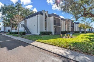 801 Russell Ln in Brandon, FL - Building Photo