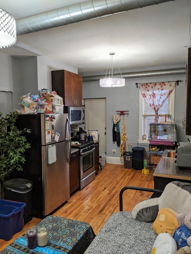 1830 W 17th St in Chicago, IL - Building Photo - Building Photo