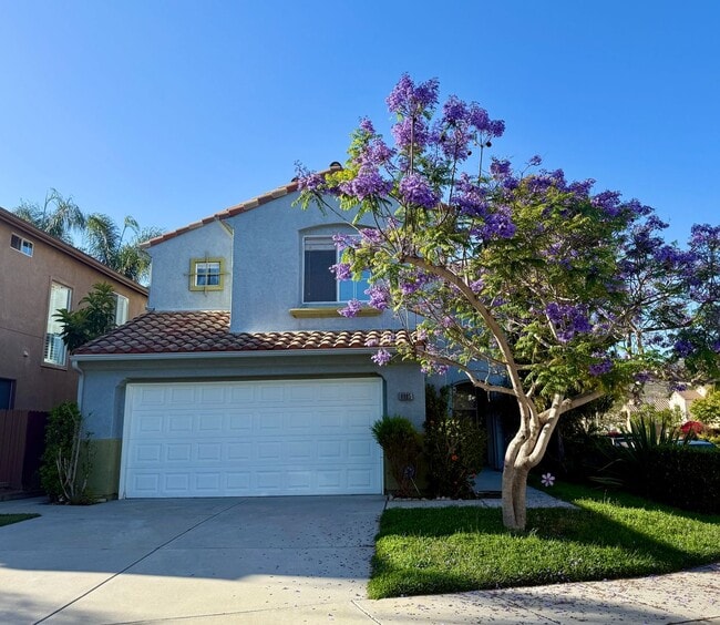 property at 6885 Via Borregos