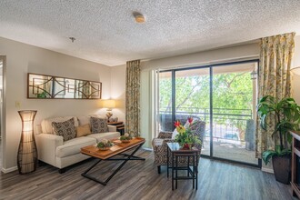 Palazzo Senior Apartments - 55+ Active Adult in Phoenix, AZ - Foto de edificio - Building Photo