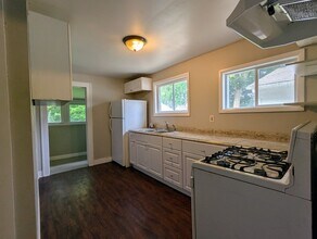 818 Woodbine Ave in Lansing, MI - Building Photo - Building Photo