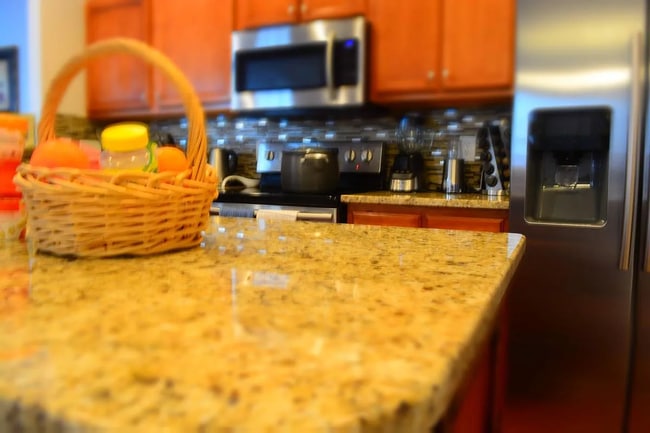 254 Hadley Commons Dr in Mauldin, SC - Building Photo - Building Photo