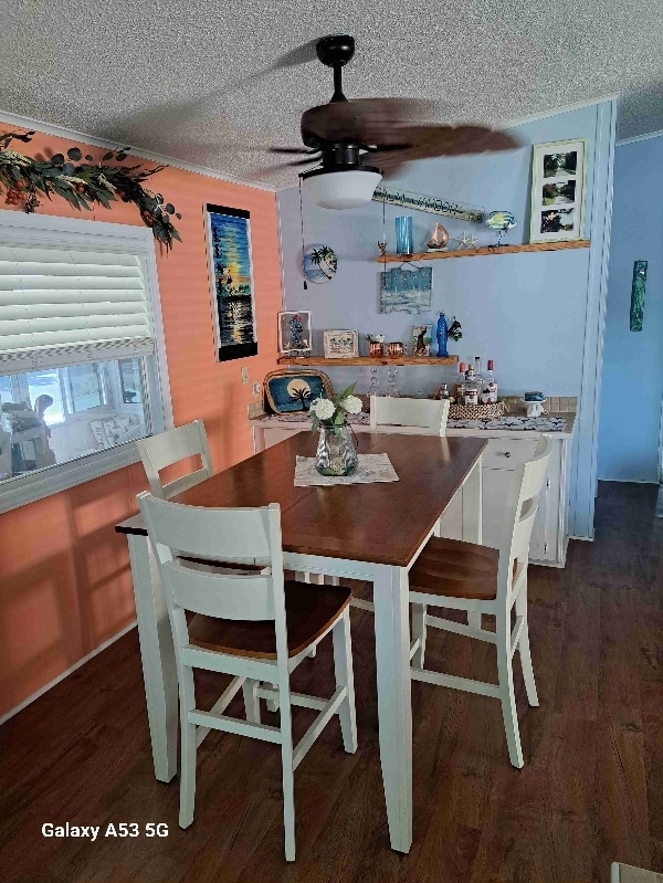 795 Co Rd 1 in Palm Harbor, FL - Building Photo - Building Photo