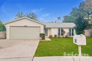 2821 Honey Bear Ct in Palm Harbor, FL - Building Photo