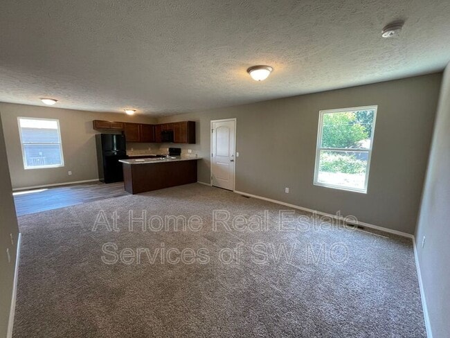 491 Hudson Ave in Republic, MO - Building Photo - Building Photo