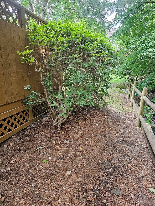 102 Finley Forest Dr Rentals in Chapel Hill, NC