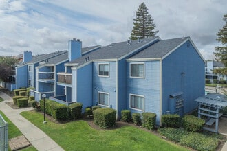 Mosaic Apartments in Pittsburg, CA - Building Photo - Building Photo
