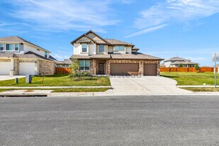 146 Dogvane Cir in Kyle, TX - Building Photo