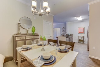 Bacarra in Raleigh, NC - Building Photo - Building Photo